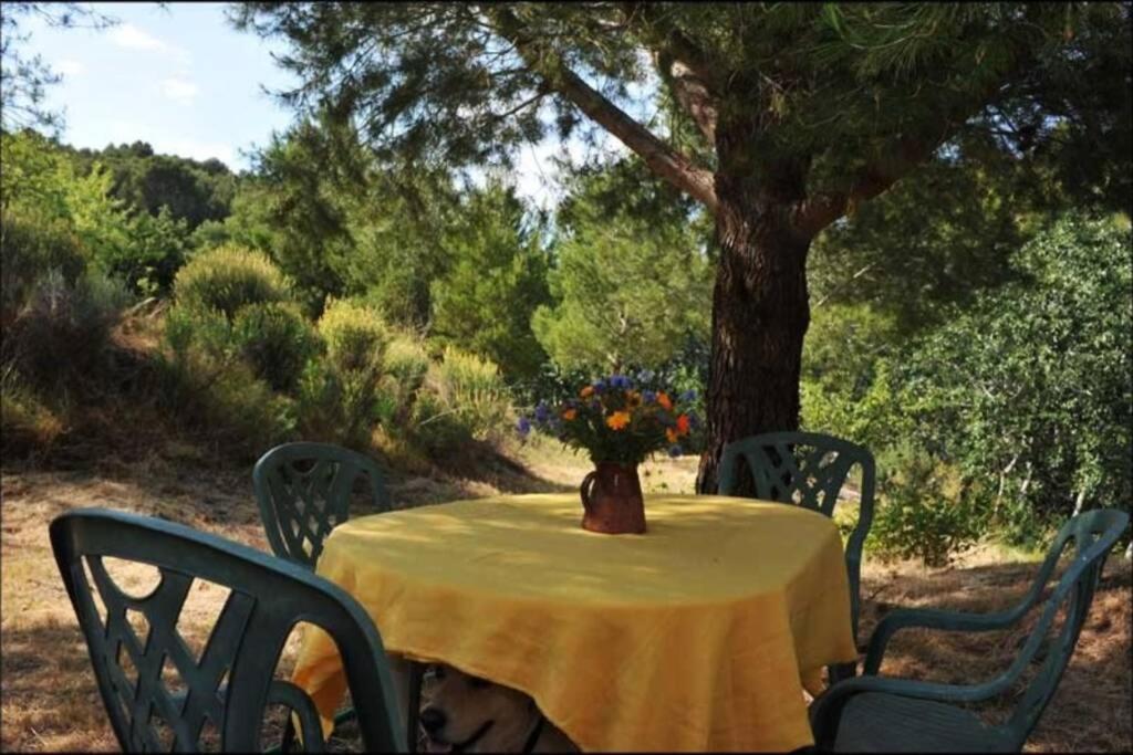 Charmant Mas Tout Equipe En Pleine Nature Catalane Cases-de-Pene Bagian luar foto